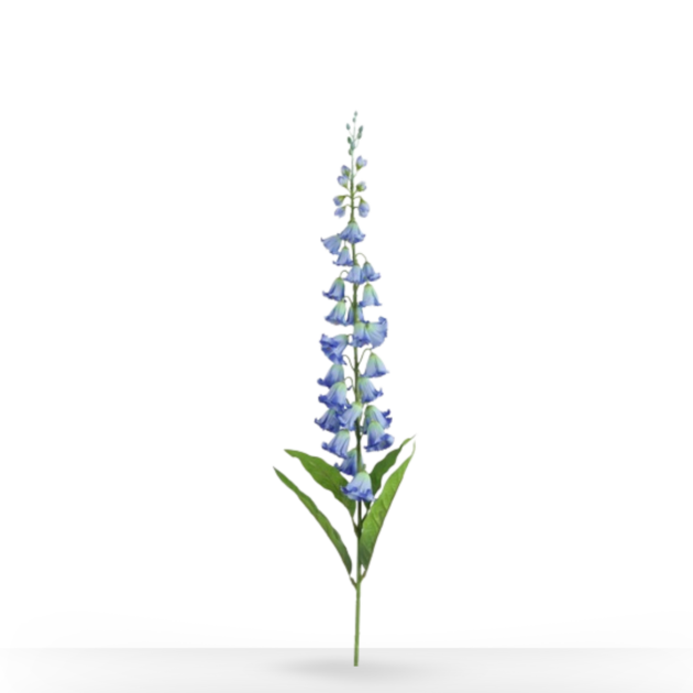 CAMPANULA BLAUW